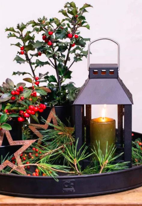 A2 Living Lanterne H. 22 cm.  Micro Small Sort